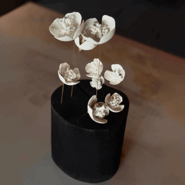 Spring 5 - Image 3