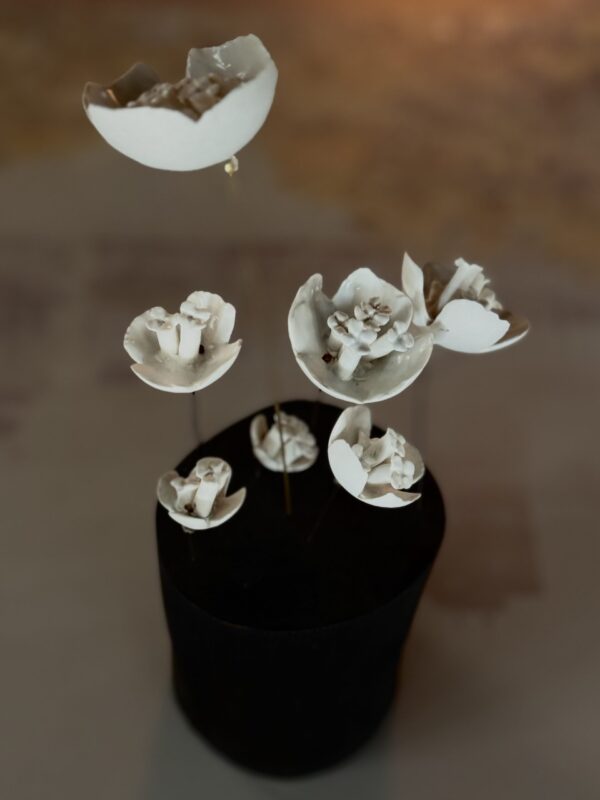 Spring 7 - Image 2